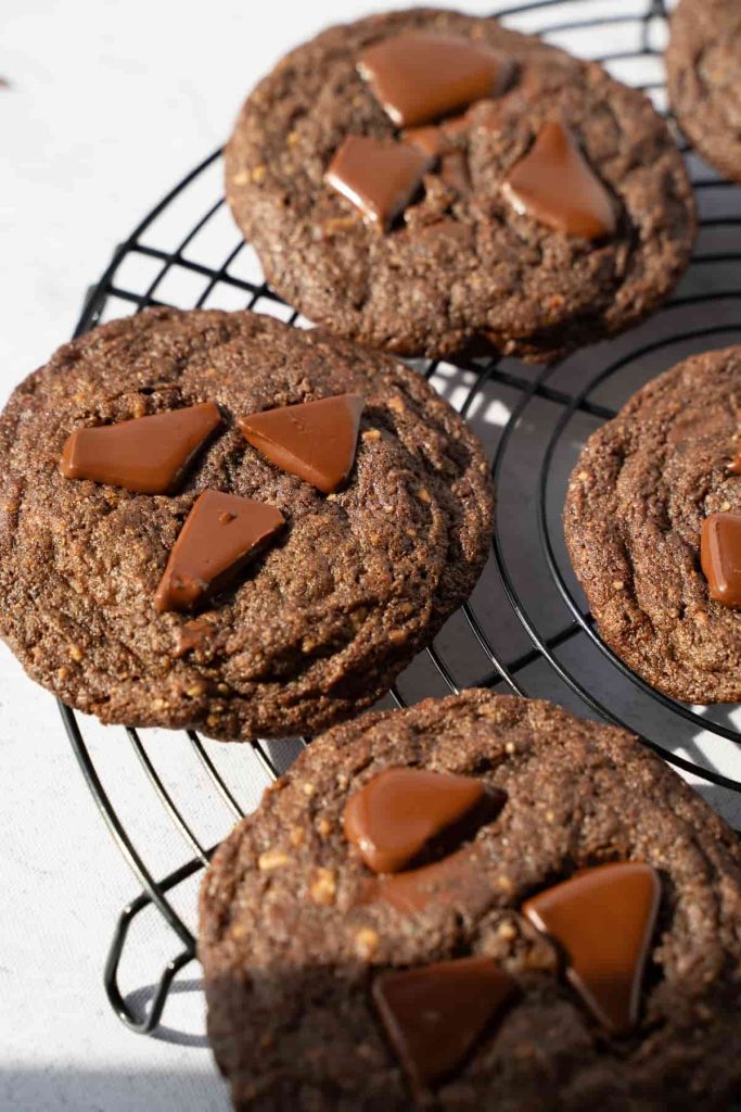 Double Chocolate Cookies Recipe